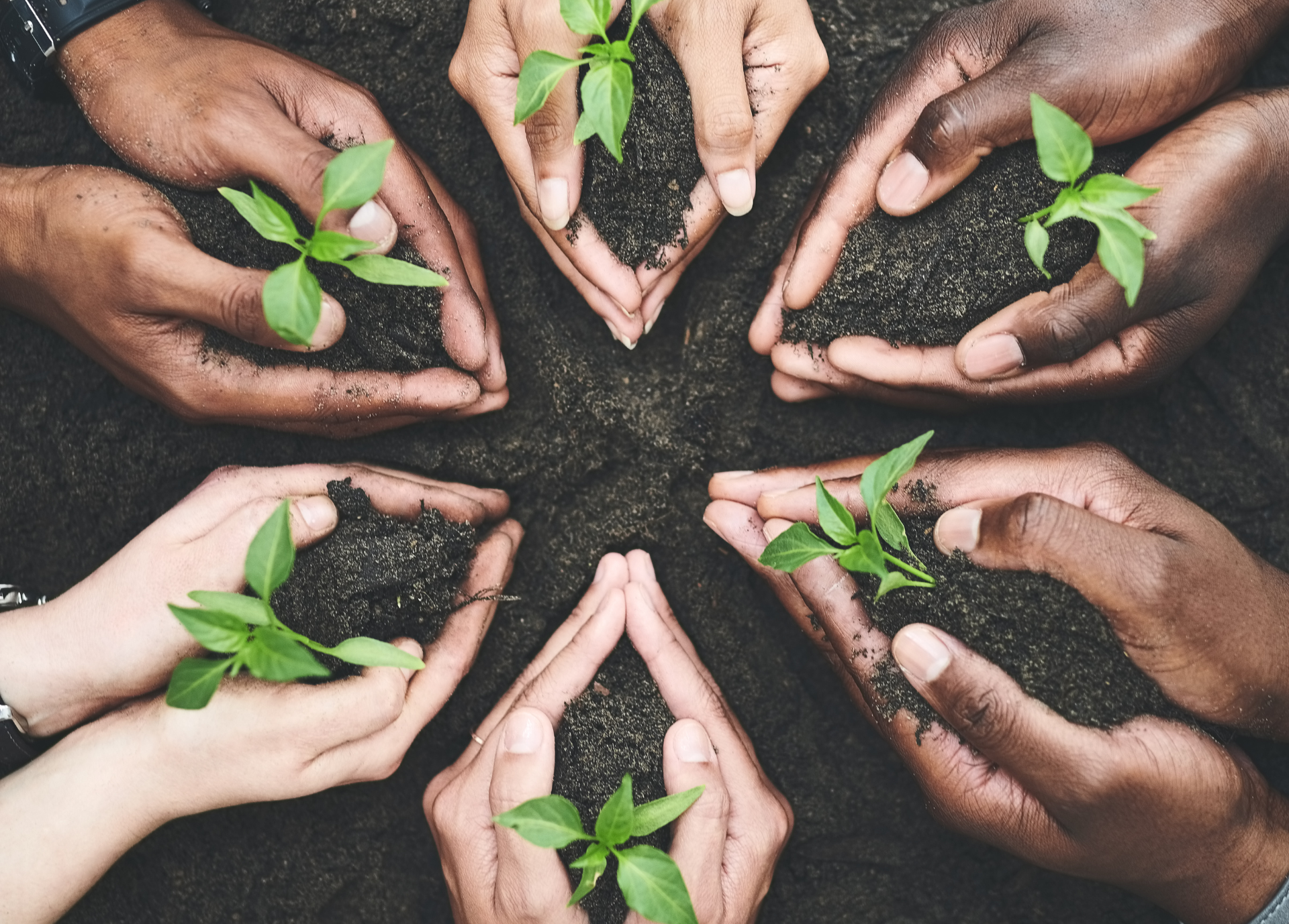 Conseil et Accompagnement
